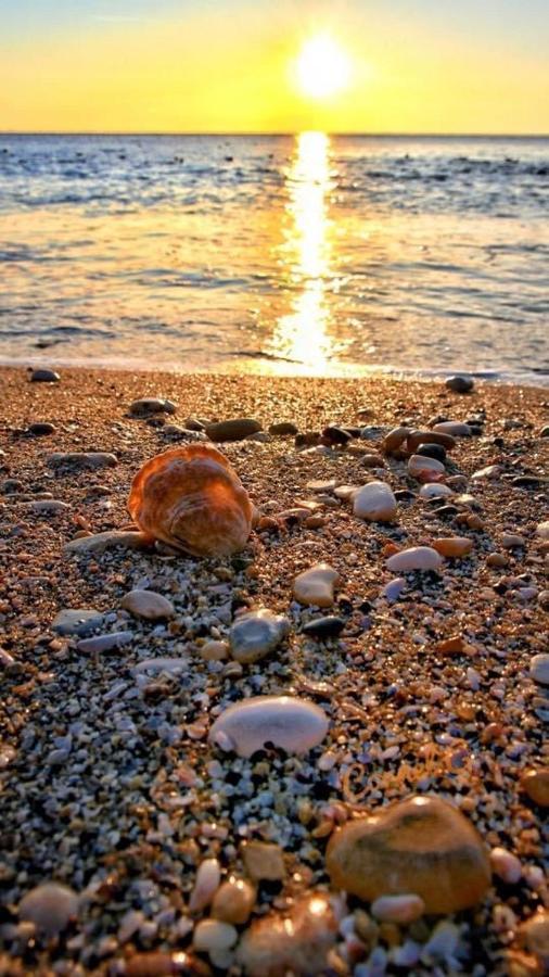 Wave 2 Mamaia Prima Linie Vedere La Mare 120Mp Năvodari Exterior foto